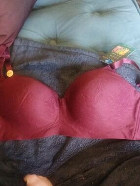 Vanity Fair Bra Xl